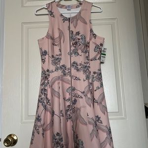 Brand New Skater Style Dress